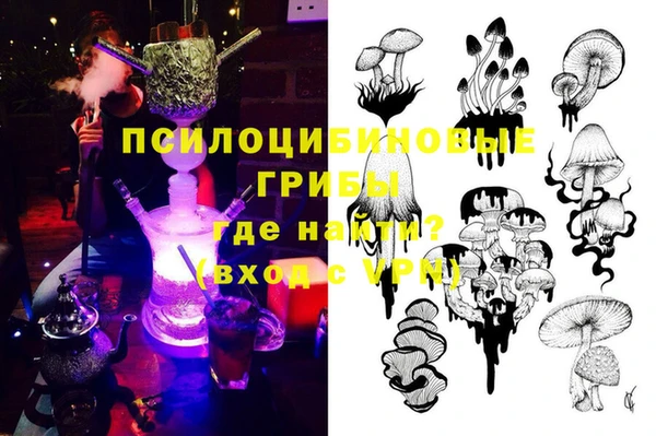 гашиш Туринск